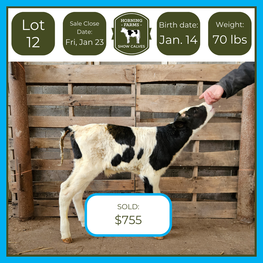 Lot 012