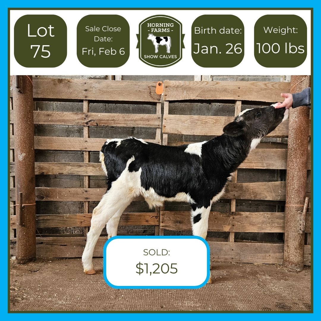 Lot 075