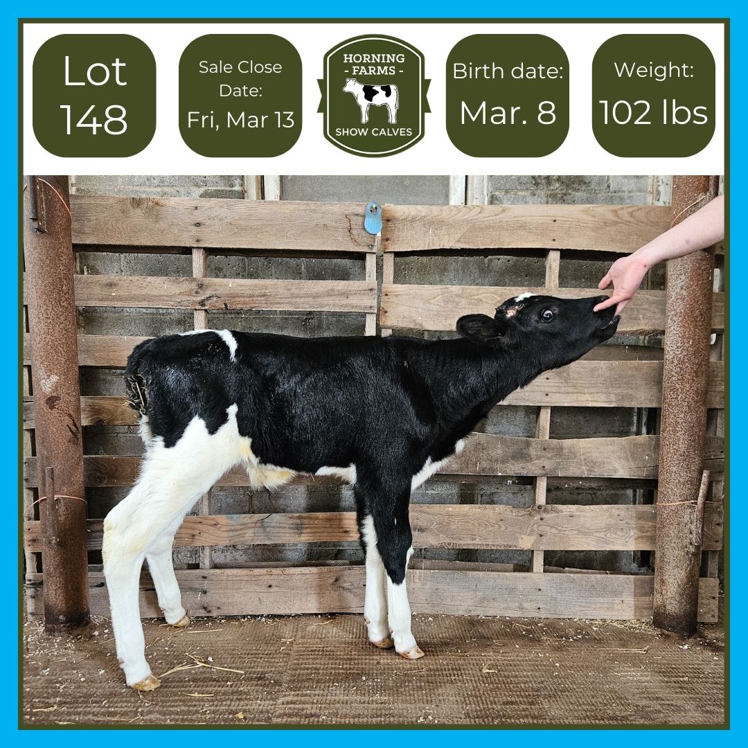 Lot 148