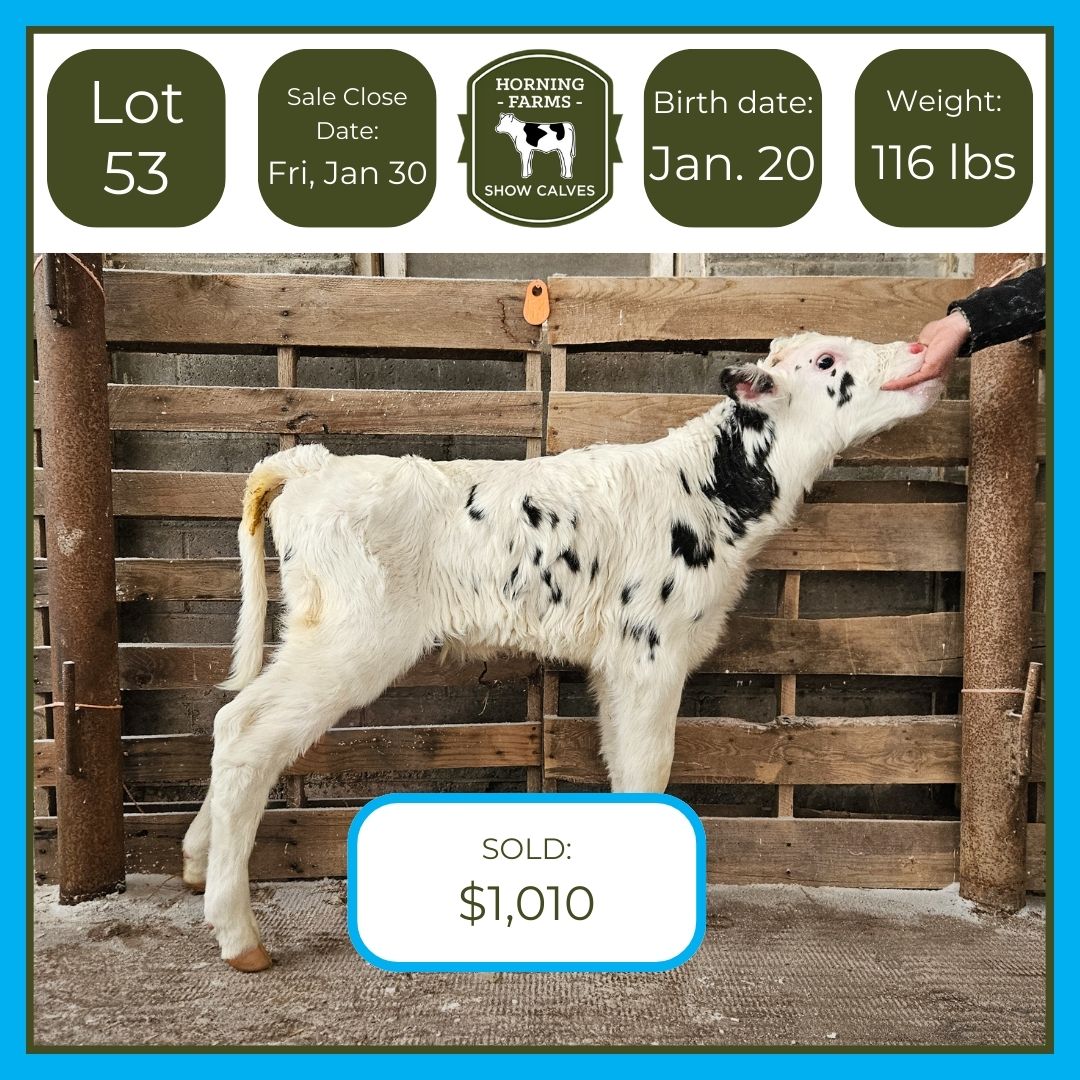 Lot 053