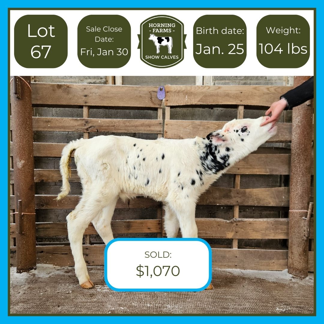 Lot 067