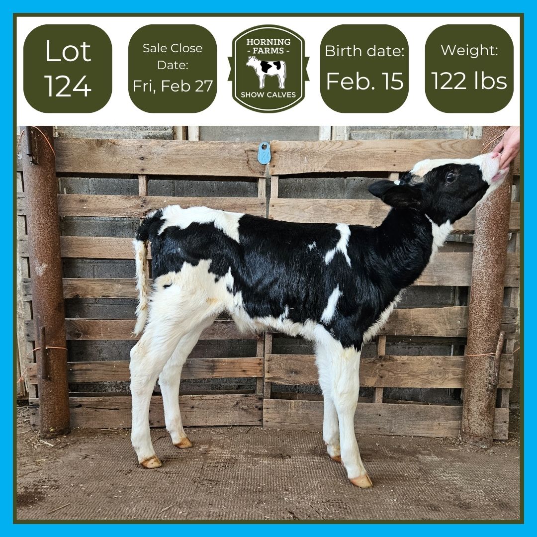 Lot 124