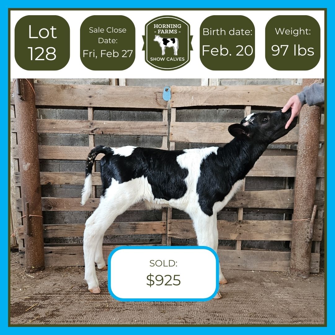 Lot 128