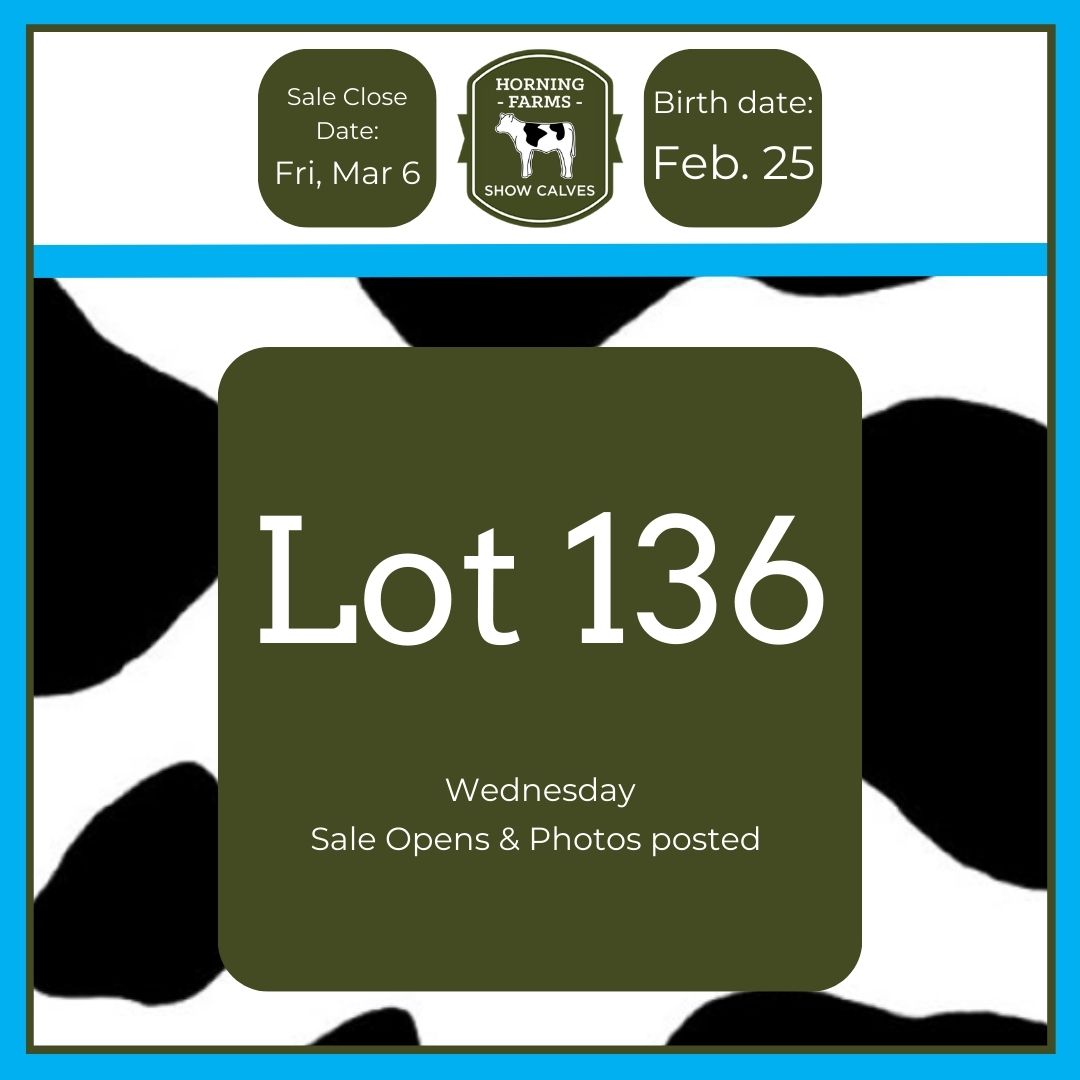 Lot 136