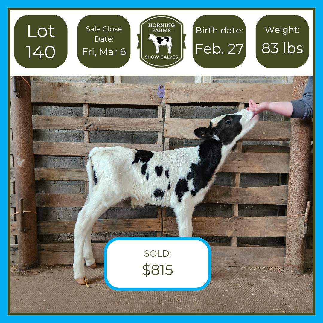 Lot 140