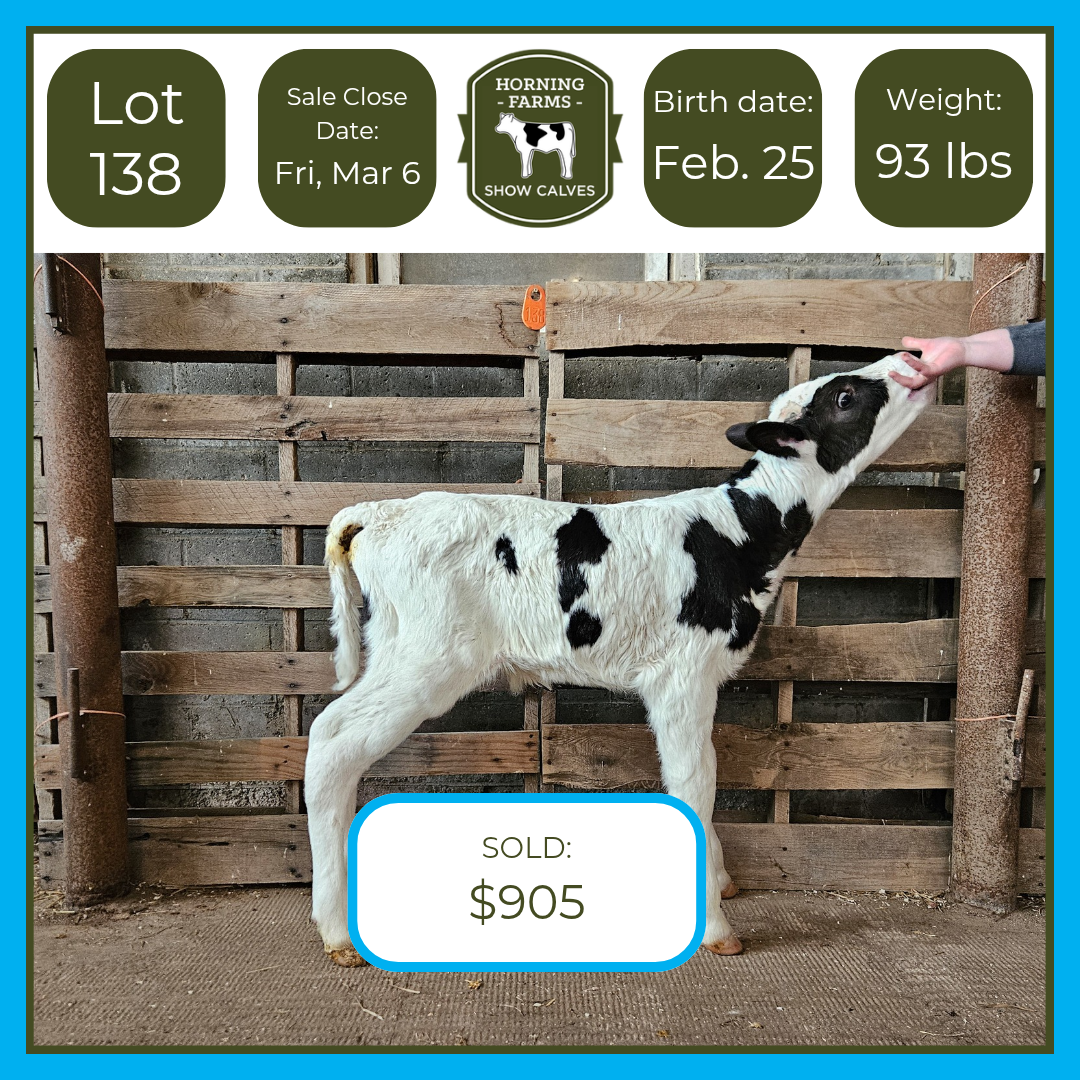 Lot 138