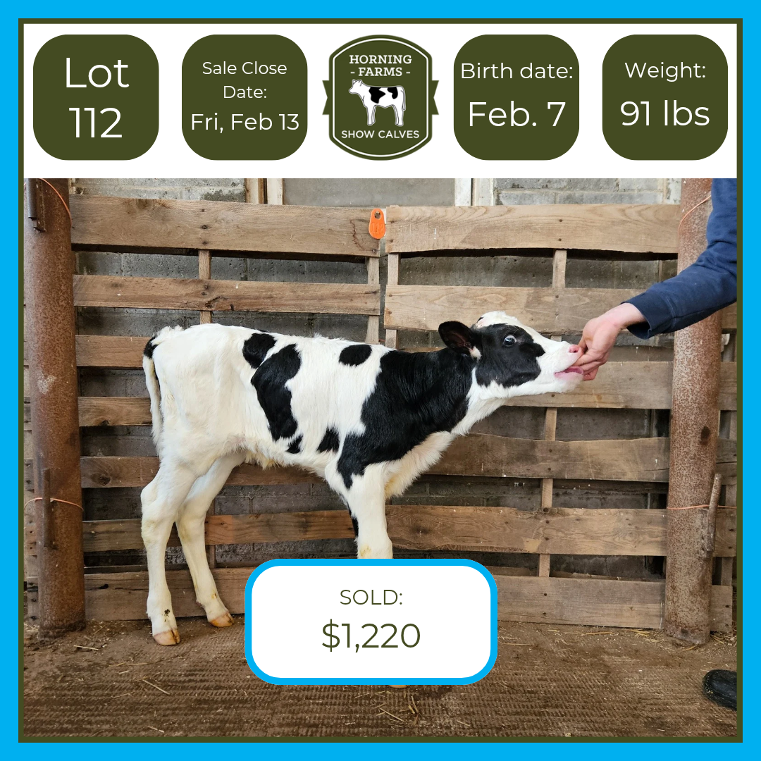 Lot 112