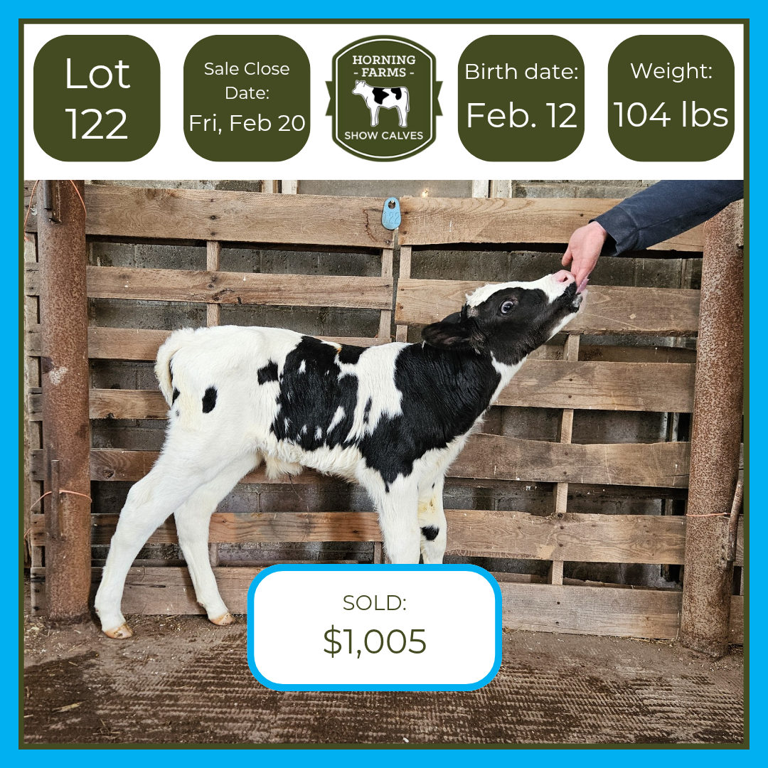 Lot 122