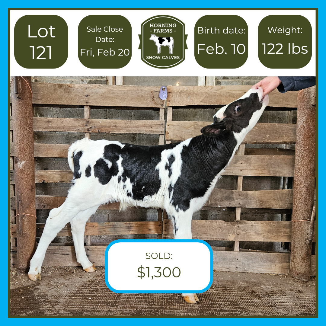 Lot 121