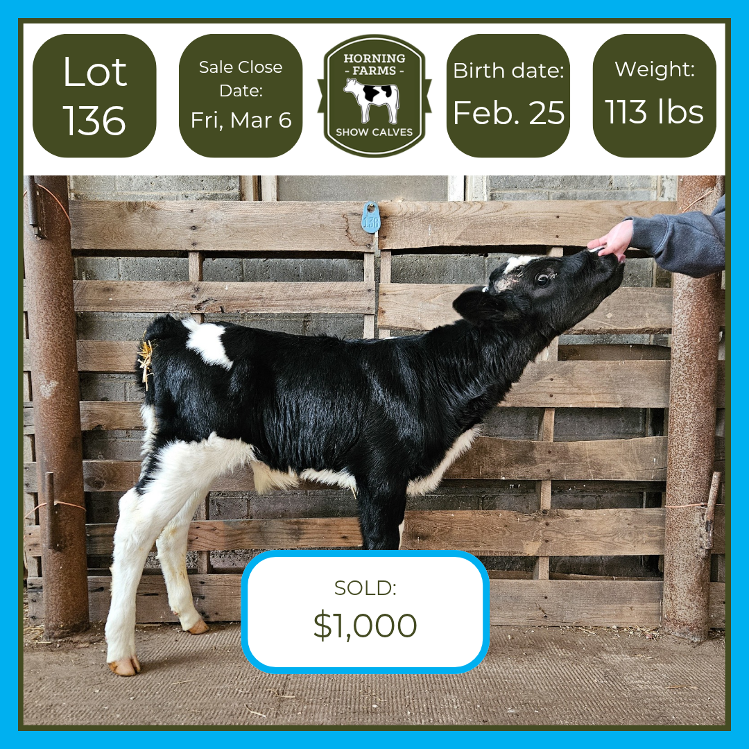 Lot 136