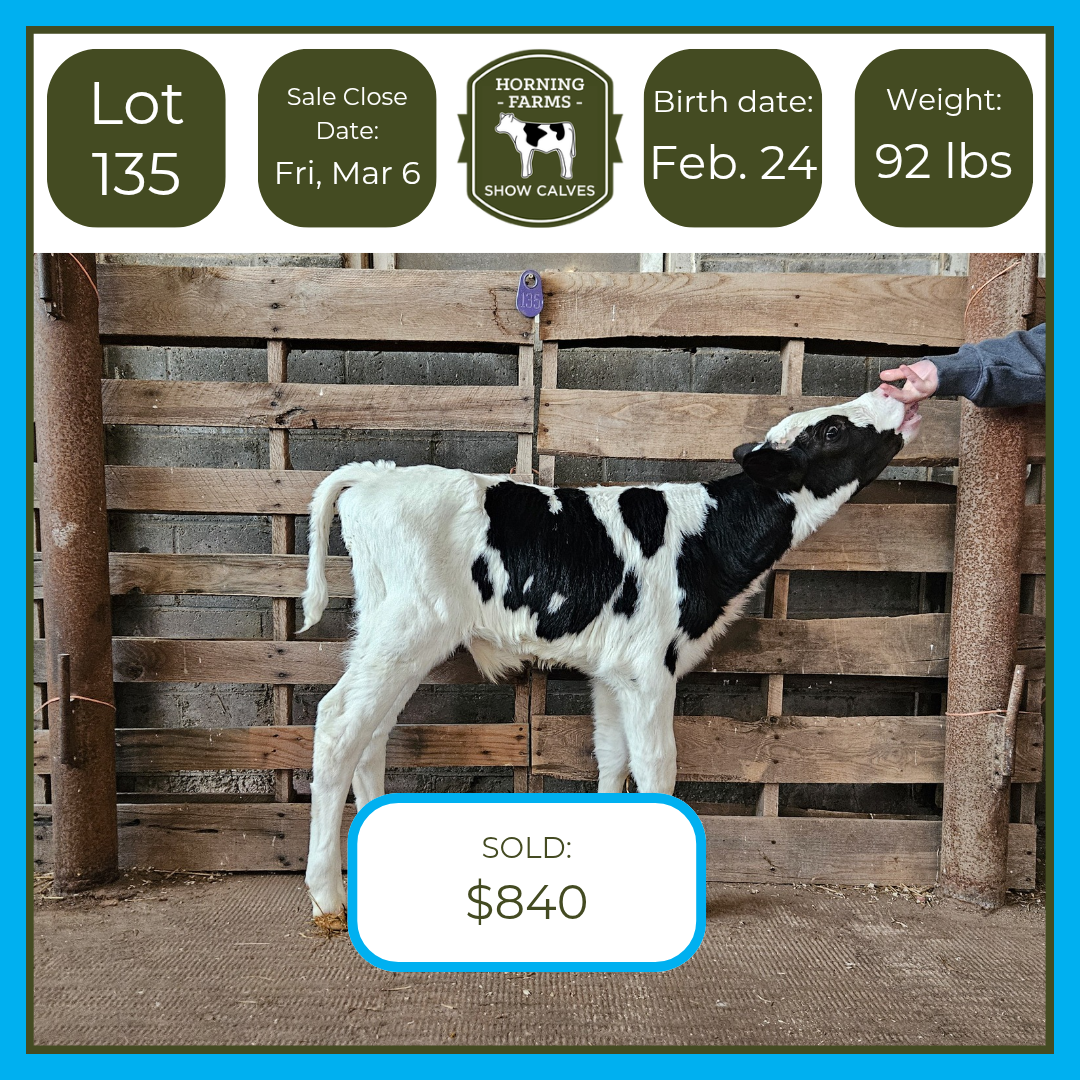 Lot 135