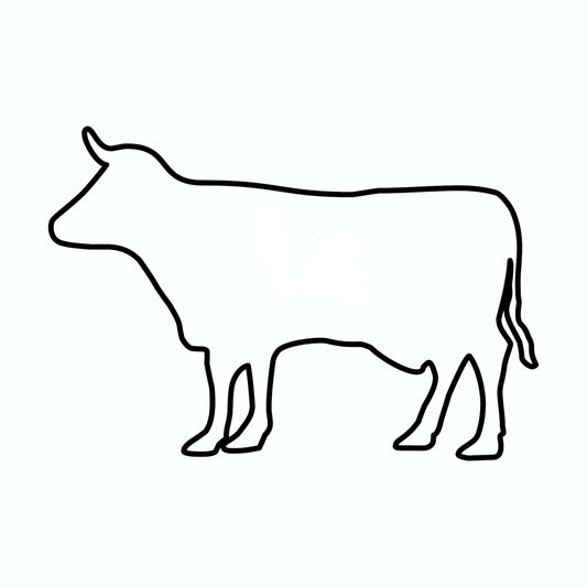 Bulk Freezer Beef