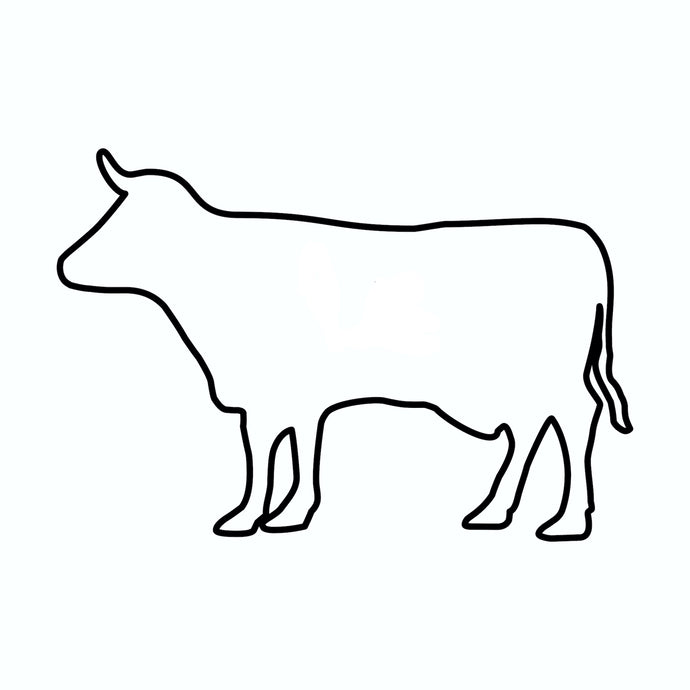Bulk Freezer Beef