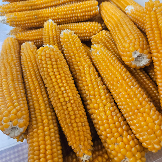 Popcorn