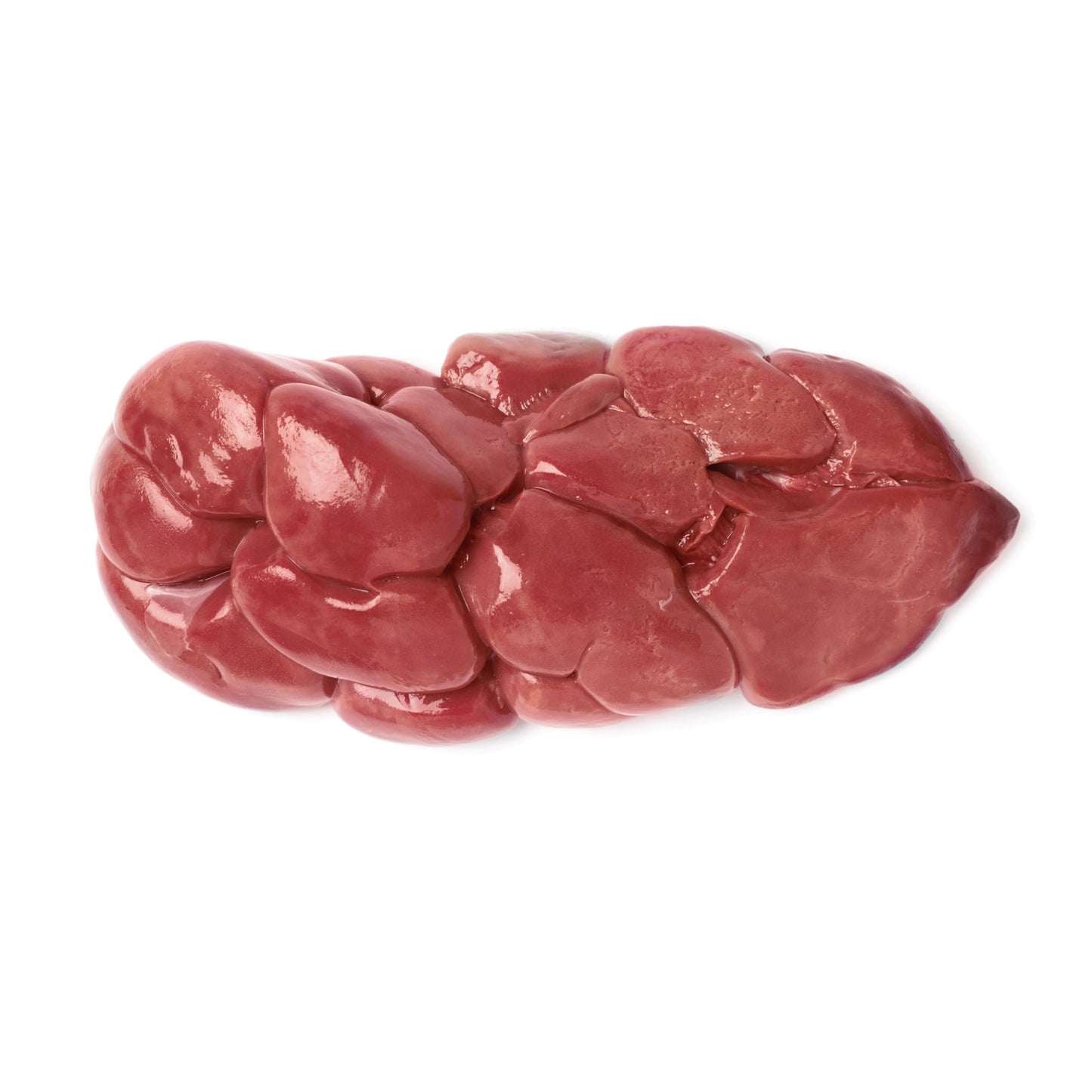 Beef Kidney