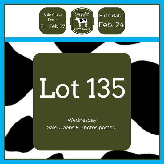 Lot 135