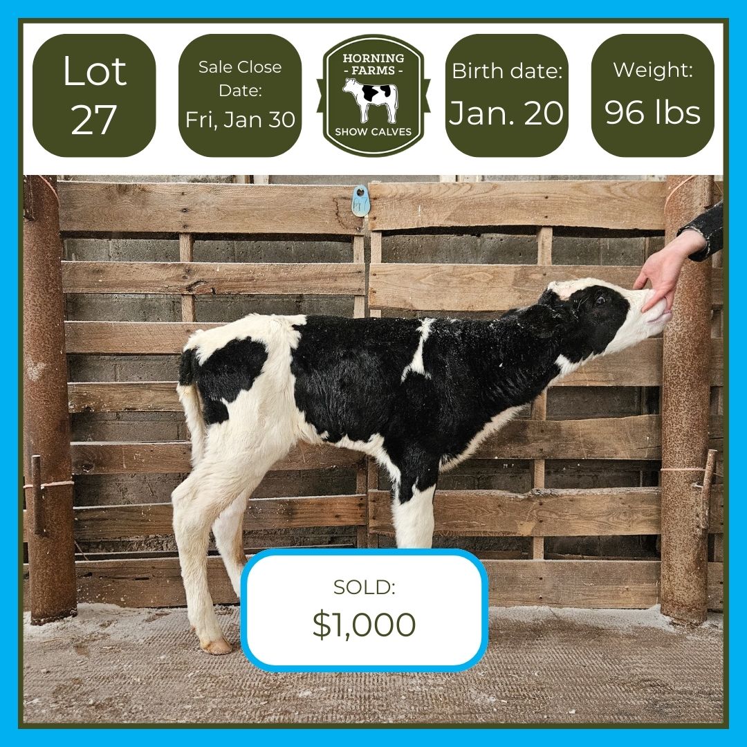 Lot 027