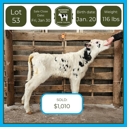 Lot 053