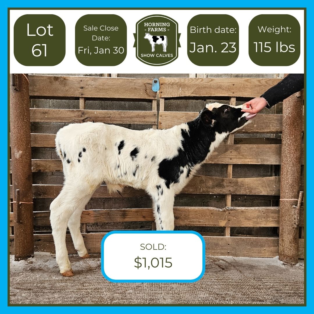 Lot 061