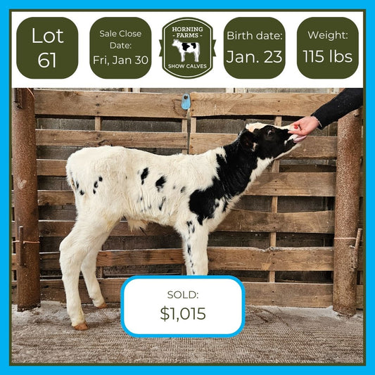 Lot 061