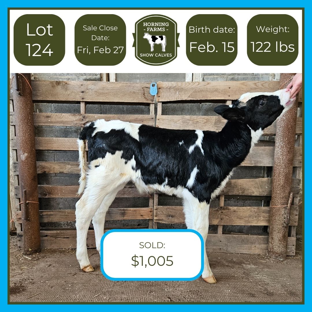 Lot 124