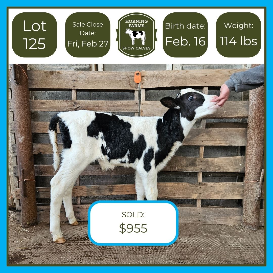 Lot 125
