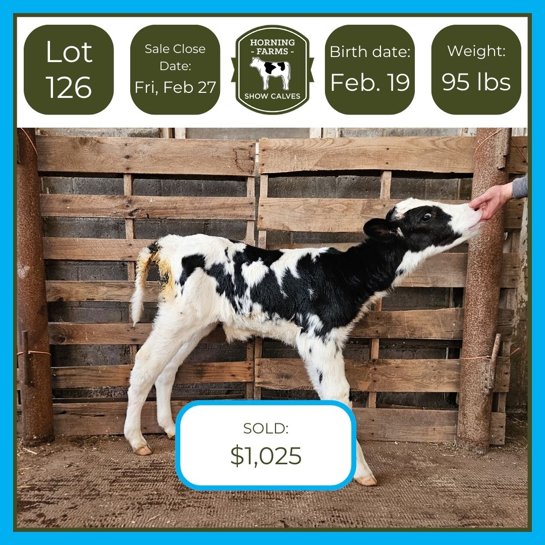 Lot 126