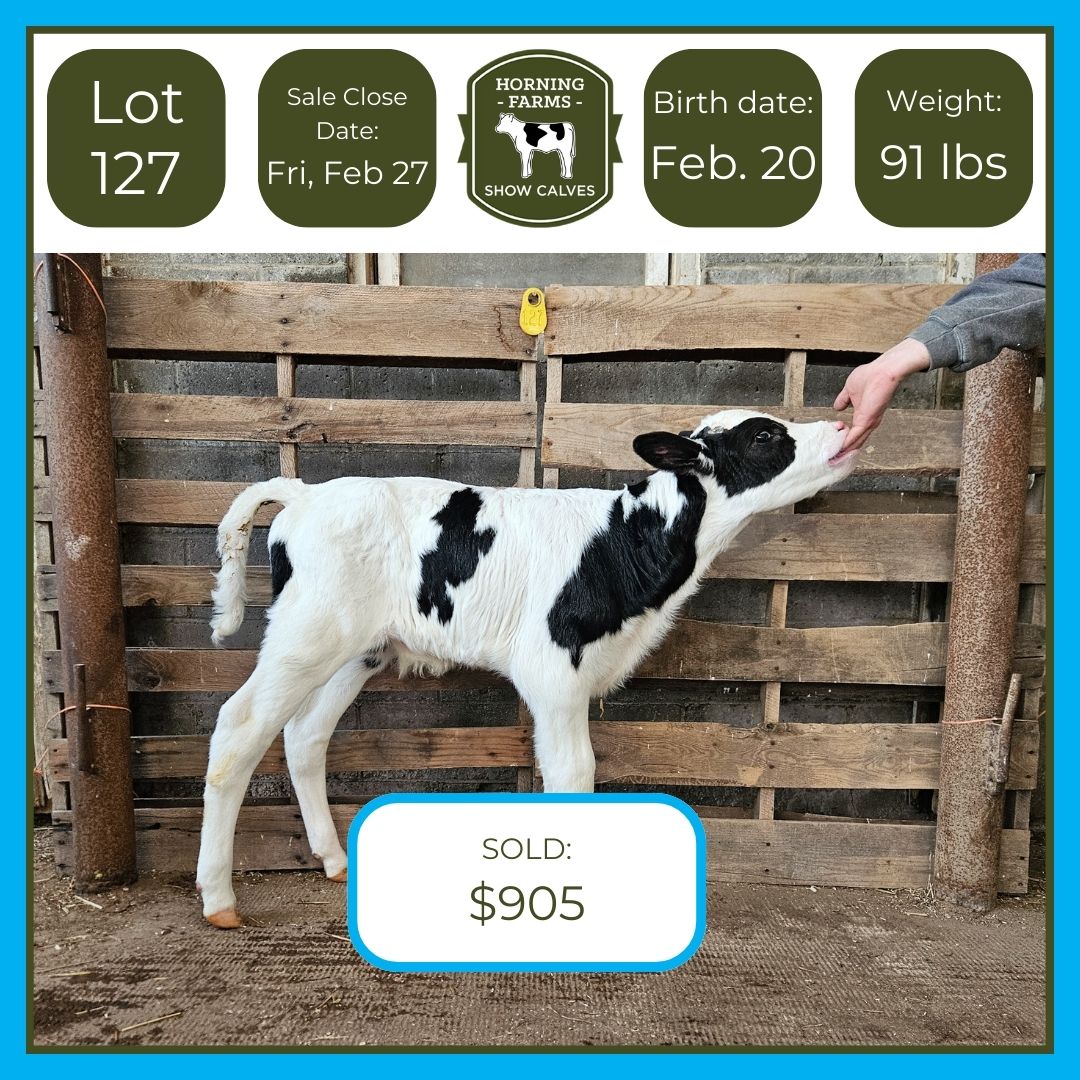 Lot 127