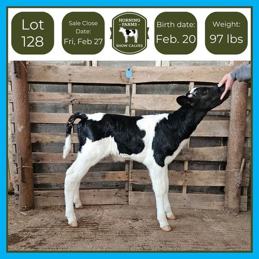 Lot 128