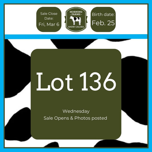 Lot 136