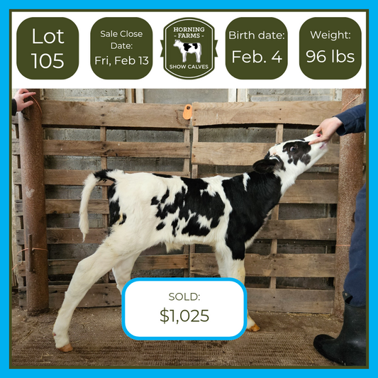 Lot 105