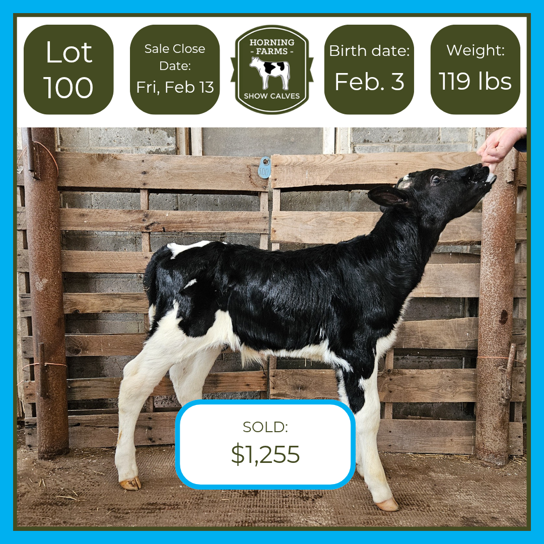 Lot 100