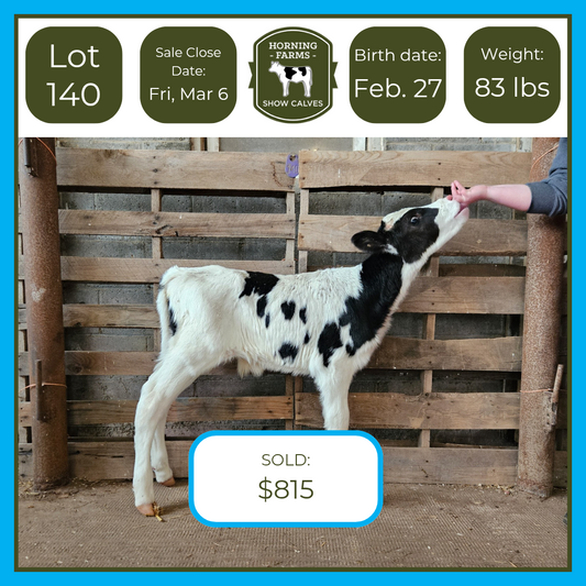 Lot 140