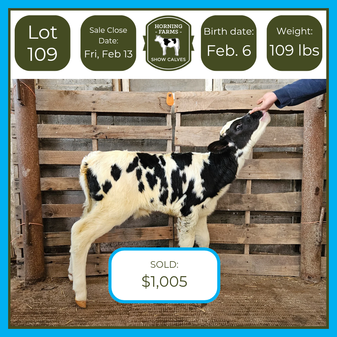 Lot 109