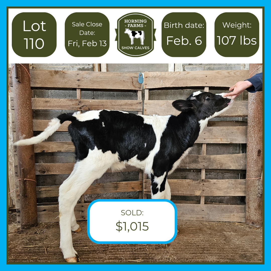 Lot 110