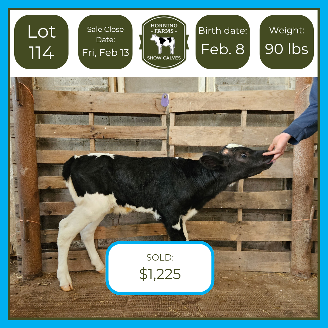 Lot 114