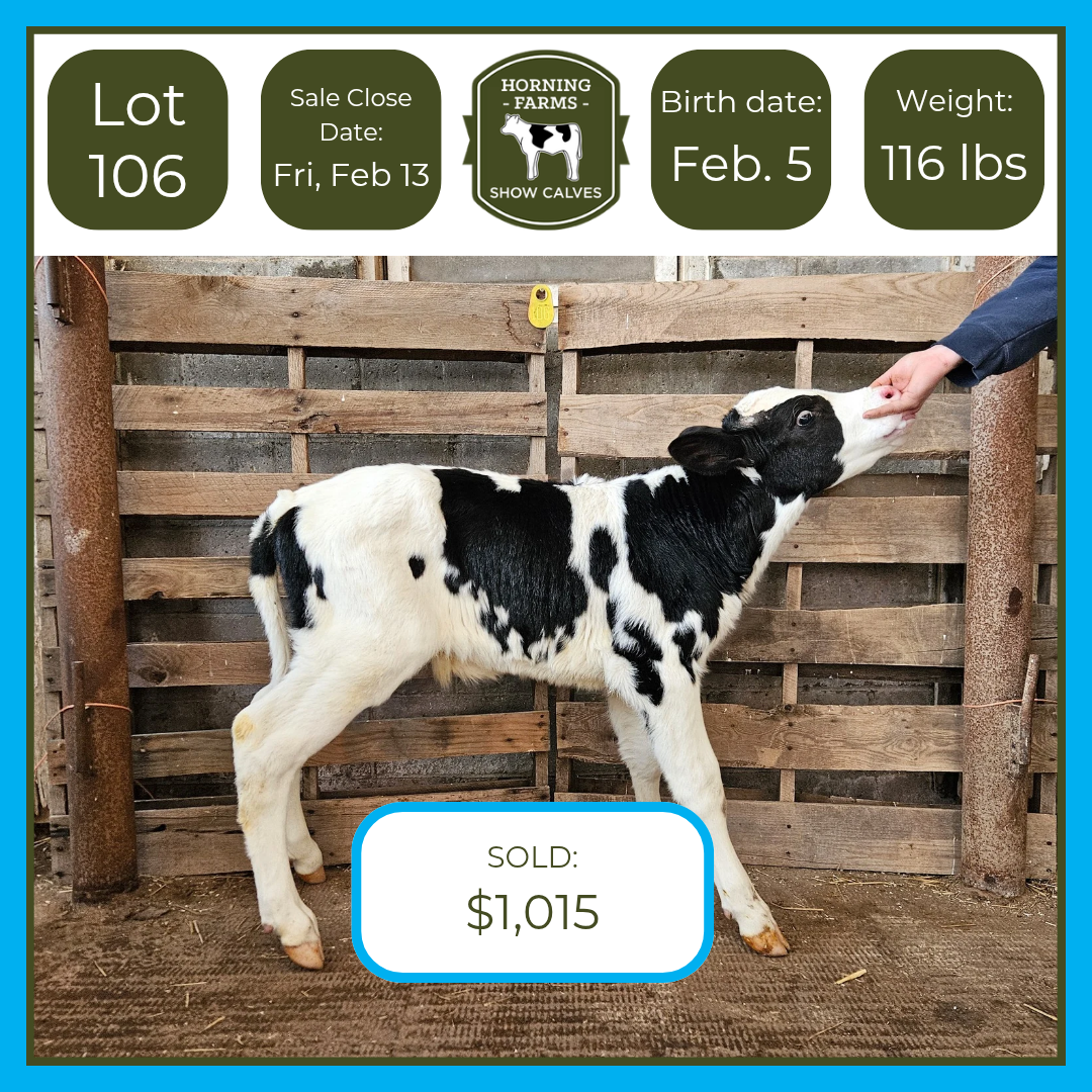 Lot 106