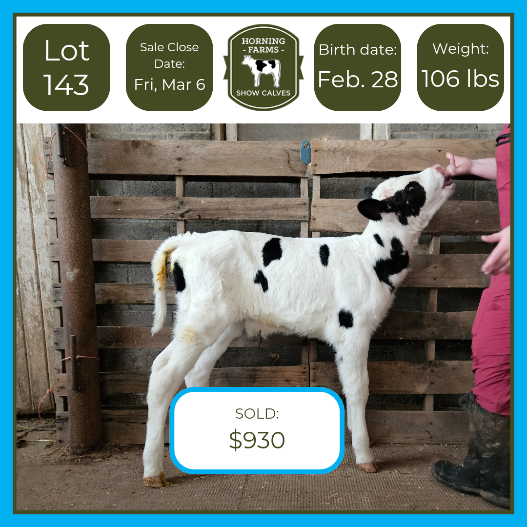 Lot 143